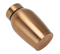 Urnes de Crémation pour Animaux de Compagnie, Conteneur de Cendres élégant en Acier Inoxydable pour Monuments Commémoratifs d'animaux de Compagnie, Parfait pour Les Petits Espaces 13,5x7cm