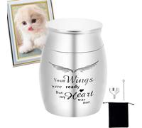 Urnes funéraires pour animaux de compagnie | Petite urne souvenir pour cendres - Urne funéraire personnelle unique en métal pour cendres d'animaux domestiques ou humaines