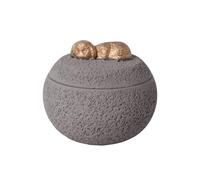 Urnes Pour Chiens Contenant Souvenirs Décoratif Lisse | Urnes Mémoriales Pour Cendres De Chiens Deuil Chats Chiot Sympathie Funérailles Cercueil Lisse Mémoire Et