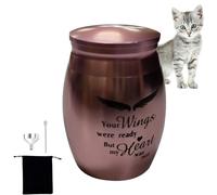 Urnes souvenir animal domestique,Petite urne pour crémation souvenir pour cendres humaines | urnes cinéraires pour cendres cendres commémoratives en acier inoxydable pour cendres d'animaux