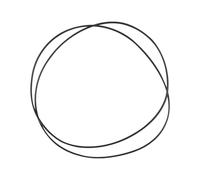 Urnqowuy Courroie d'entraînement pour tourne-disque Pro-Ject Phono, convient pour Debut Series, xPression et RPM 5.1, RPM 6.1, Pro-Ject Essential, USB, II, II, USB, etc