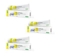 Urocid Pâte | Pâte pour chiens et chats | 3 x 100 g | Avec méthionine | cp-pharma | Aliments complémentaires | Pour le soutien nutritionnel des voies urinaires | Avec canneberge | Lot de 3