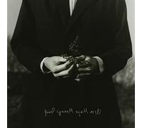 Ursa Major Moving Group - Ursa Major Moving Group (Lim.)