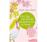 Ursula Richard Thich Nhat Ha Der Tag, auf den du gewartet hast, ist heu (Poche)
