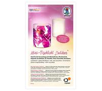 Ursus 18560000 Lot de 5 Mini Lampes de Table d'extérieur en Papier Yupo Transparent 10 x 27 cm 153 g/m²