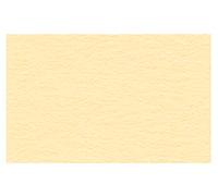 Ursus 2174610 Lot de 100 feuilles de papier cartonné Motif chamois Format A4 130 g/m²