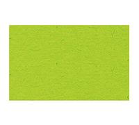 Ursus 2174651 Lot de 100 feuilles de papier cartonné Vert clair Format A4 130 g/m²