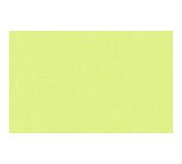 Ursus 3774650 Lot de 50 Feuilles de Papier Photo Vert Pomme Format A4 300 g/m²