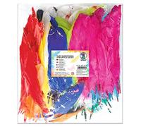 Ursus 39610099 Lot de 300 Plumes Indiennes en 10 Couleurs Assorties env. 16 à 20 cm Forme Fine, Droite et Longue pour Masques, Attrape-rêves et Autres Accessoires Multicolore