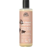 Urtekram Nordic Berry Shampoing Réparateur Aux Baies Nordiques Flacon 250ml