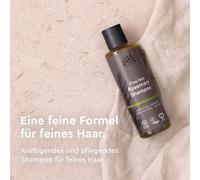 Urtekram Rosemary Shampoo 250 ml Shampoing Non-professionnel Femmes