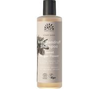 Urtekram Soin Sweet-Ginger-FlowerShampooing anti-dandruff 250 ml