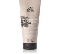 Urtekram Sweet Ginger Flower Après-shampoing soin doux aux extraits d'aloe et de gingembre 180 ml