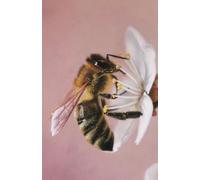 US Academic diary 2025-2026 week to view, student diary with Bee artwork by Sally Sturgess: August 25 - July 26. 108 pages and glossy cover. Perfect gift for student, wildlife lover or bee lover