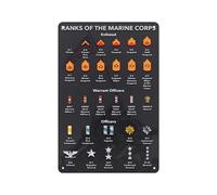 US Military Rank Insignia Reference Chart - Educational Poster for Wall Art and Decor(Framed,08x12inch(20x30cm))