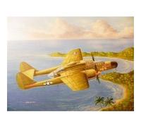 Us P-61a Black Widow - Maquette D'avion Hobby Boss 9581730-Hobby Boss