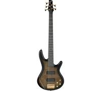 USA Model GSR205PCTPB Transparent Pale Black Burst