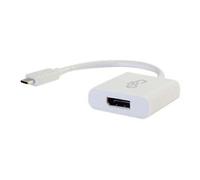 USB C to DisplayPort Adapter Converter - USB Type C to DisplayPort White - Adaptateur vidéo externe - USB 3.1 - DisplayPort - blanc