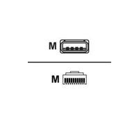 USB Cable For Power Off Terminal applications - Câble USB - USB (M) pour RJ-45 (10 broches) (M) - 2 m