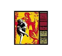 Use Your Illusion I Vinyle