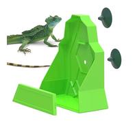 usefulbeauty Bol pour Reptiles - Boîte d'alimentation pour Reptiles - Bol De Chasse Anti-Fuite pour Tortue Araignée Gecko Caméléon Grenouille Et Dragon Barbu