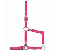 USG 15050006-048-399 Licol Fuchsia Taille Shetty
