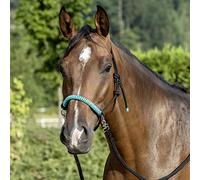 USG Licol noué avec rênes