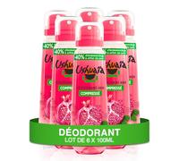 Ushuaïa - Déodorant Compressé 48h - Grenade des Açores - lot de 6 x 100ml