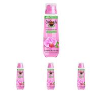 Ushuaïa Déodorant Compressé 48H Orchidée du Mexique (Lot de 4)