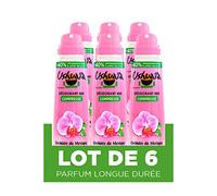 Ushuaia Déodorant Compressé 48H Orchidée du Mexique - Pack de 6