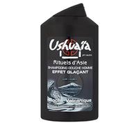 Ushuaïa Rituels d'Asie Shampooing Douche Homme Effet Glaçant à la Roche Volcanique 250 ml