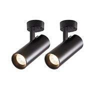 USMCPQVXN Lot de 2 Spots de Plafond À Led Montés En Surface, Luminaire D'Accentuation, Plafonnier Réglable En Métal, Spots Directionnels Modernes Pour Couloir de Galerie/Noir3000K