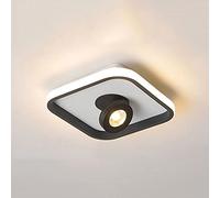 USMCPQVXN Spot de Plafond À Led Rotatif, Spot D'Accentuation Moderne À Led 20 W, Applique Murale Monopoint, Luminaires de Plafond Directionnels Géométriques En Métal/Noir3000K