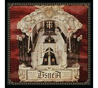Usnea: Portals Into Futility
