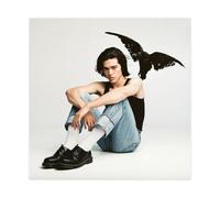 USONME Conan Gray Kid Krow Music Album Impression sur toile Poster Toile Décoration Chambre Bureau Chambre Cadeau 60 x 60 cm