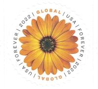 USPS Global Forever Stamps - 20 Stamps by USPS
