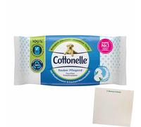 usy Cottonelle Lot de 42 lingettes humides nourrissantes avec eau micellaire et parfum de coton frais + bloc usy
