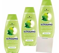 usy Lot de 3 shampoings frais et doux (3 bouteilles de 400 ml) + bloc usy