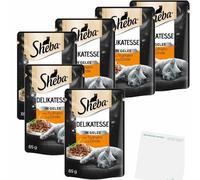 usy Lot de 6 sachets de 85 g pour la délicatesse Sheba en gelée avec dinde + bloc usy
