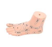 UTHCLO 1pièce Modèle De Pied Acupuncture Réaliste Modèle De Réflexologie Pour Massage Des Points Acupoint Accessoire Éducatif Pour Écoles Et Formations Médecine Chinoise