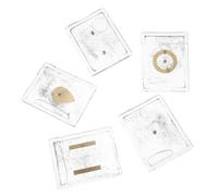 UTHCLO 5 Ensembles Ensemble D'expériences de Physique avec Dispositif de Démonstration Électromagnétique en Plastique et Limaille de Fer pour Classe Étudiante et Enrichissement du