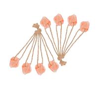 UTHCLO 8 pièces Blocs de Sel Minéral Naturel pour Bétail avec Corde Suspendue Sel Rose Himalayen à Léchage pour Chevaux Vaches Cerfs et Autres Animaux