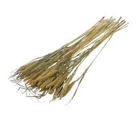 UTHCLO Litière Naturelle pour Hamsters et Petits Animaux Décoration de Fleur et Céréales Naturelles Paquet Unique pour Habitat Sécurisé et Environnement Naturel
