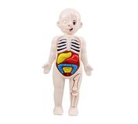 UTHCLO Modèle Anatomique Torse Humain Puzzle Éducatif Cognitif pour Garçon Fille Apprentissage Corps Humain Physiology Early Learning