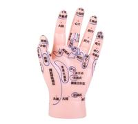 UTHCLO Modèle Main Acupuncture Précis pour Massage et Réflexologie Outil Éducatif pour Enseignement Médecine Traditionnelle Chinoise Affichage Points Acupuncture Écoles Tcm et Cabinets