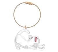 UTHCLO Porte-Clés Chat Transparent pour Poils D’Animaux Mini Boîte de Rangement Commémorative Portable Capsule Souvenir Légère et Compacte pour Stockage de Poils Accessoire Voyage