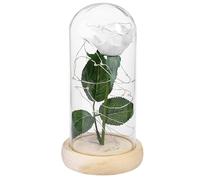UTHCLO Rose Blanche Éternelle sous Dôme en Verre Lumière LED Décorative sur Base en Bois pour Décoration Mariage ou Fête d'anniversaire
