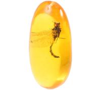 UTHCLO Spécimen d'Insecte en Résine Ambrée Libellule 8X4 CM Pierre à Insectes Décorative pour Collection Scientifique et Décoration Intérieure Échantillon Pédagogique Fossile Unique