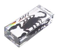 UTHCLO Spécimen Résine Scorpion Presse-papiers Transparent Acrylique Décoration de Bureau pour Enseignement et Collection Insectes