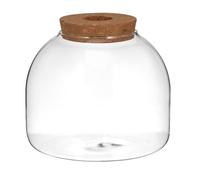 UTHCLO Terrarium Végétal en Verre avec Socle en Bois pour Hydroponie, Décoration Micro Paysage pour Chambre, Contenant pour Plantes D'intérieur